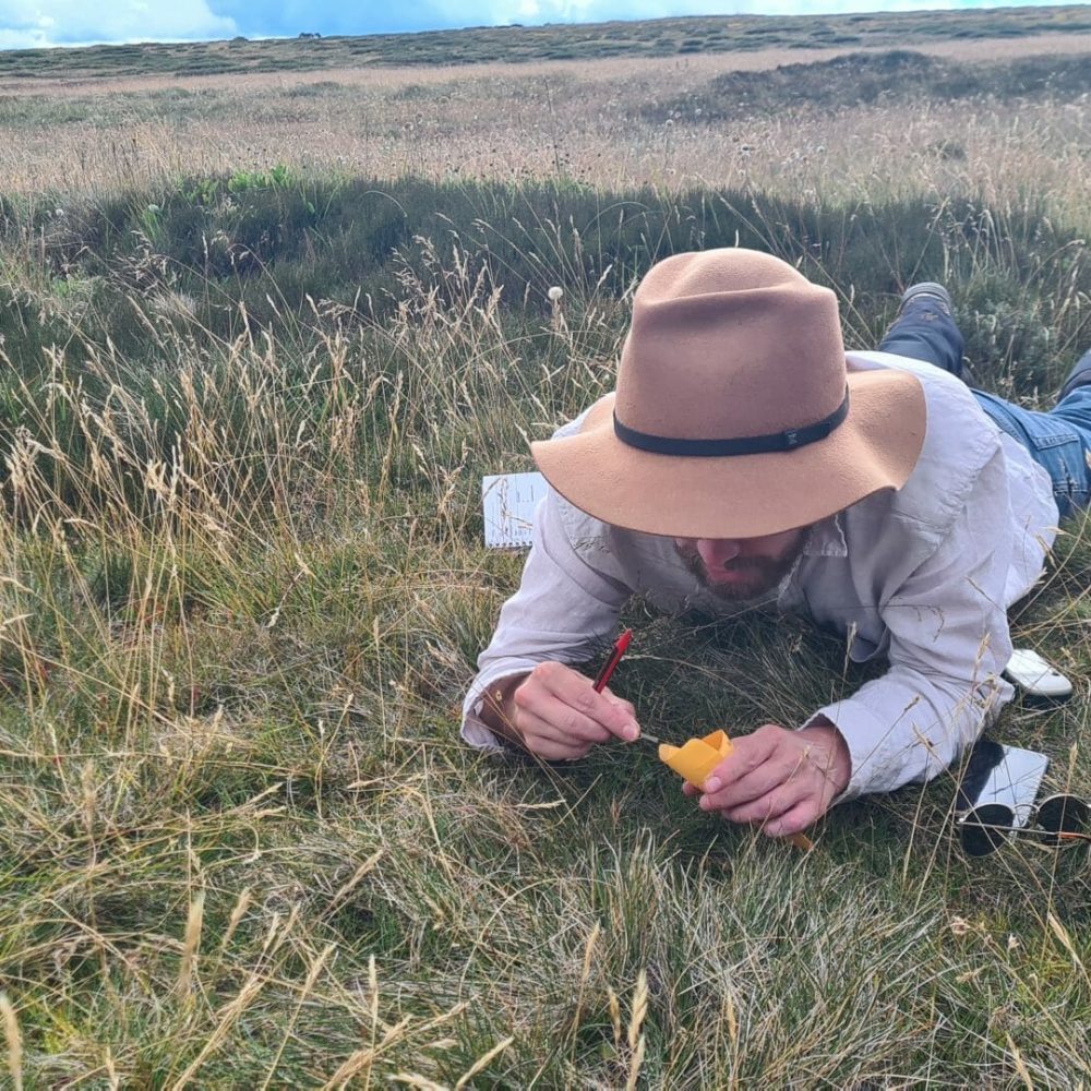 Collecting Kelleria bogongensis at Bogong High Plains, Victoria (Image: Rebeca Miller)